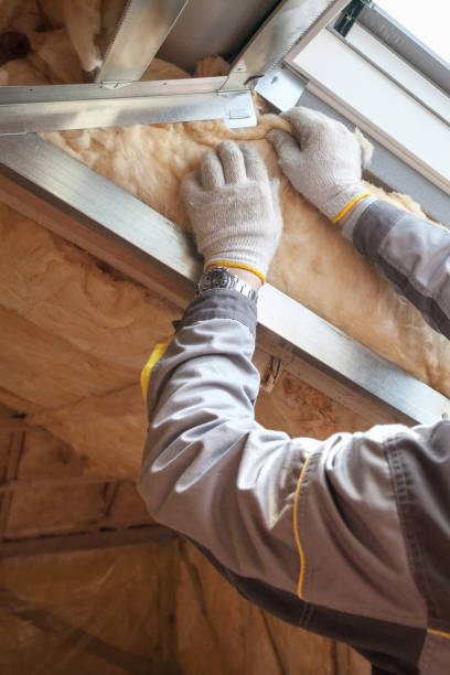 Types of Insulation We Offer in Pender, NE