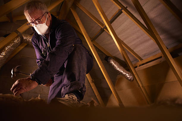 Best Energy Efficiency Insulation in Pender, NE